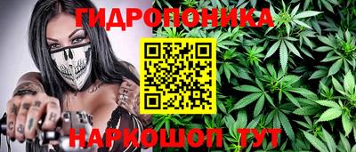 бошки Будённовск