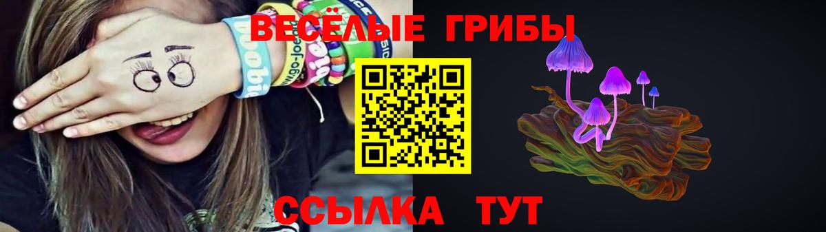 как найти закладки  Псилоцибиновые грибы мухоморы  Вход с VPN  Михайловск  Псилоцибиновые грибы прущие грибы 